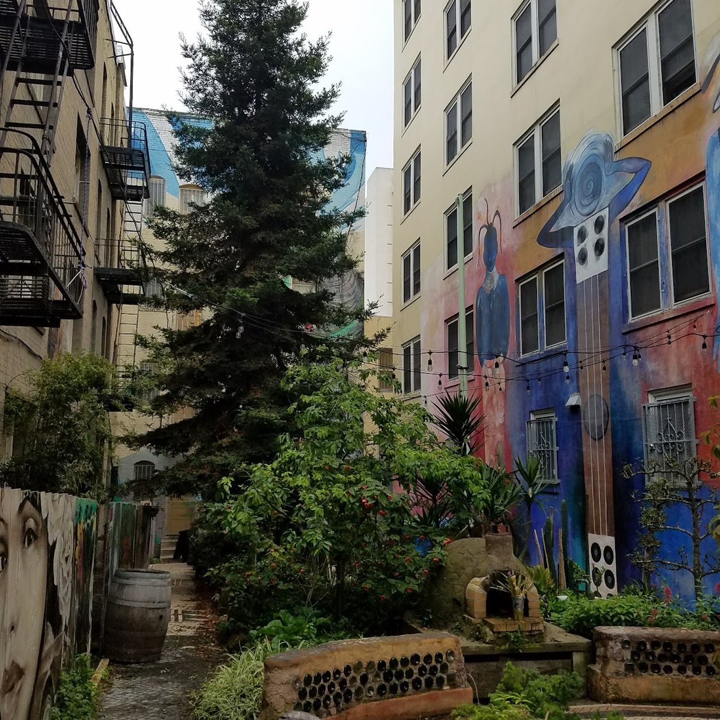 Tenderloin National Forest 2