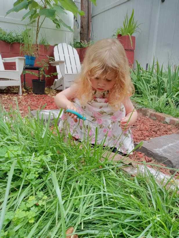 Little Thinkers Montessori 1