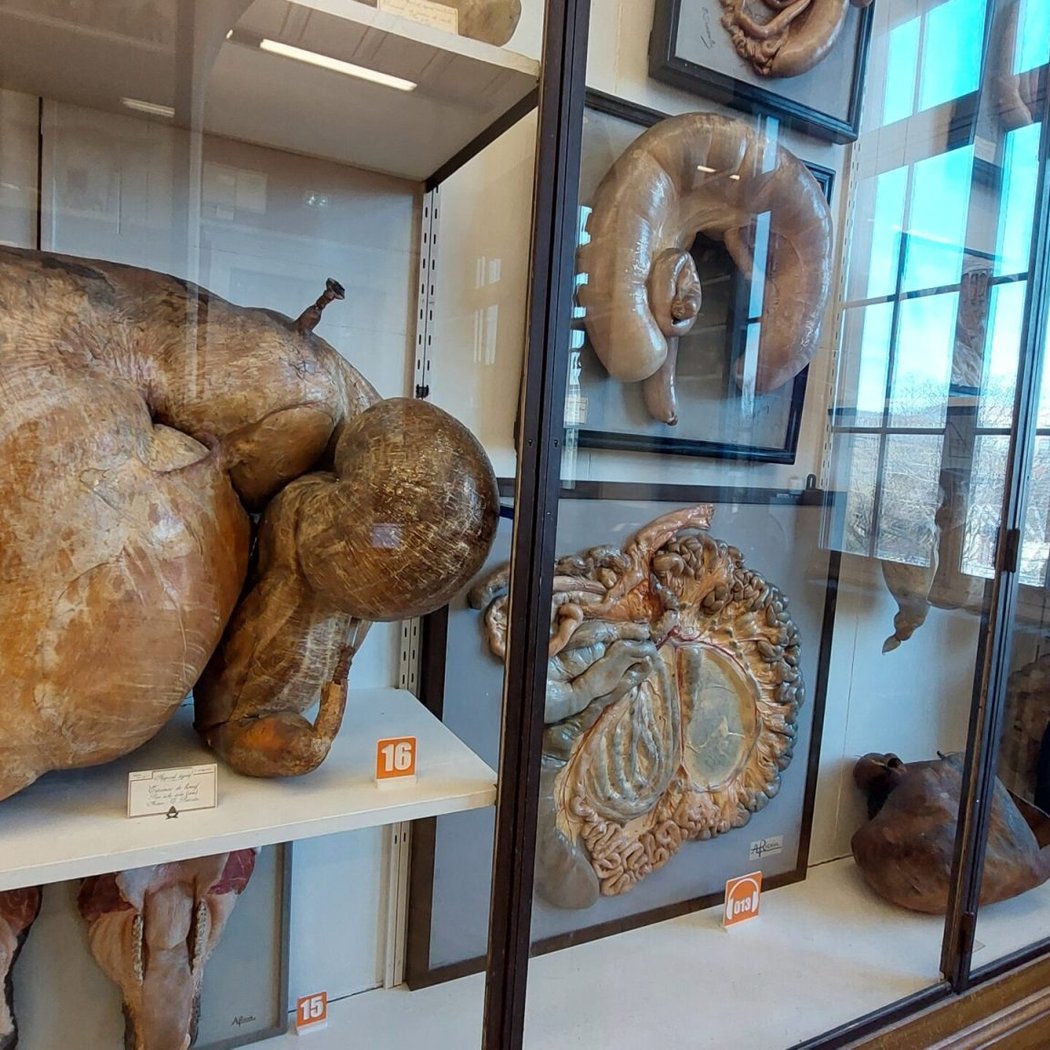 Fragonard Museum 3