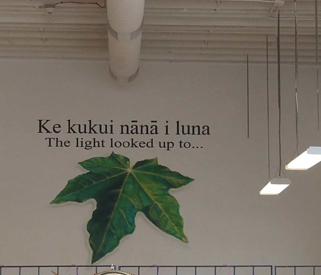 Academy of Hawaiian Arts 3