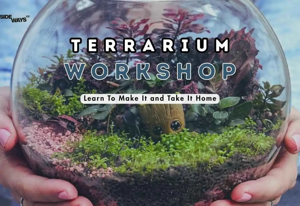 A World Inside Glass - Terrarium Making Workshop 1