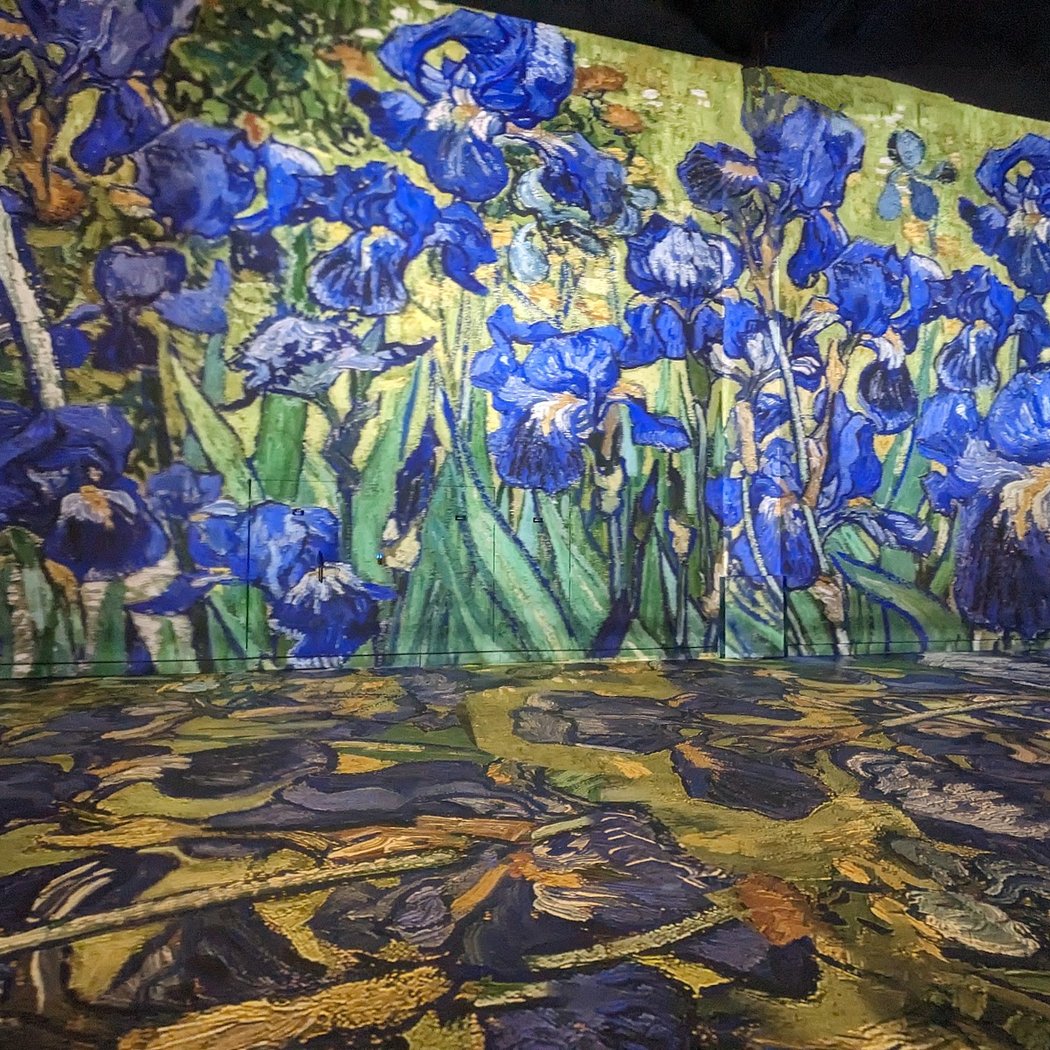 Découvrir votre Center d'Art 3
