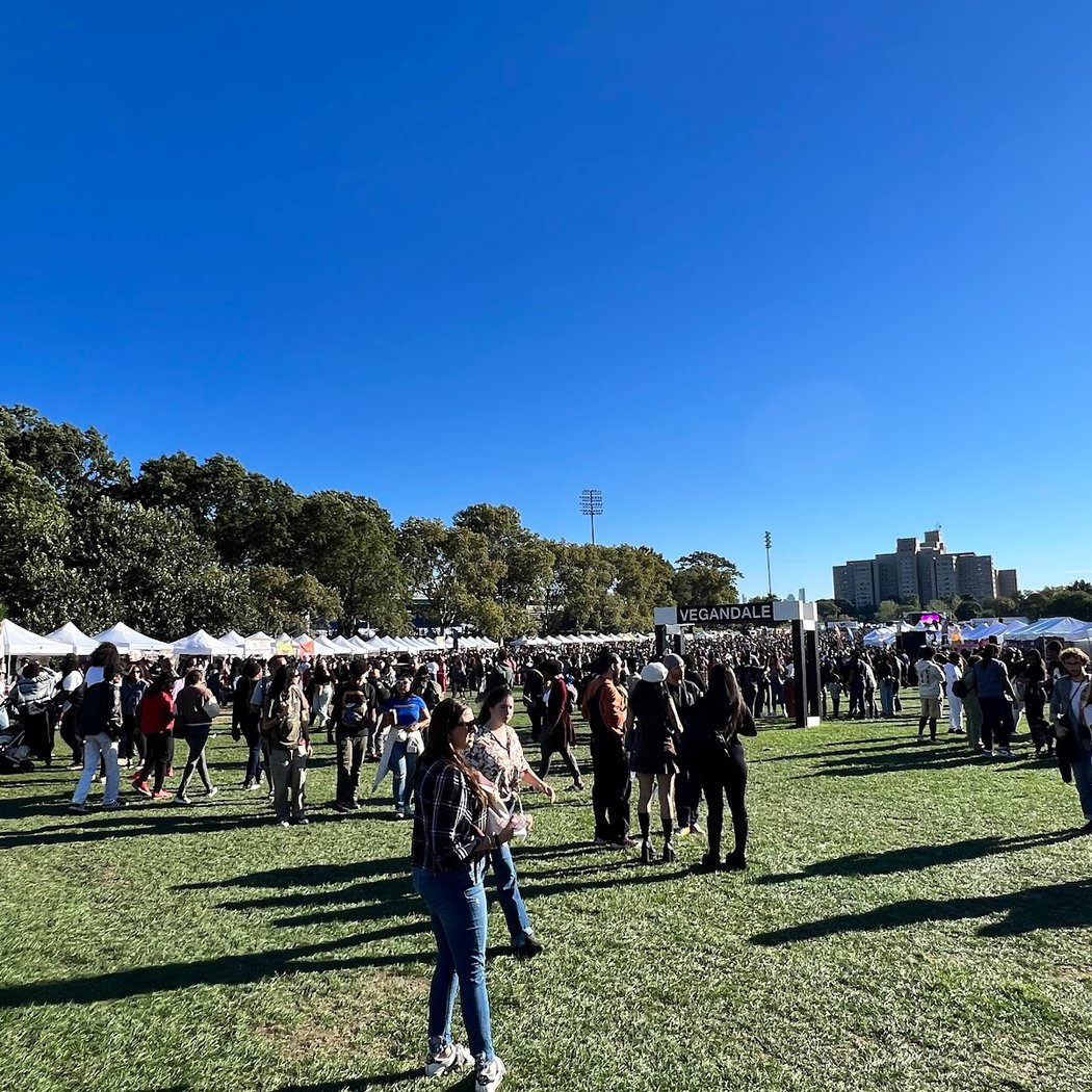 Randalls Island Field #10 3