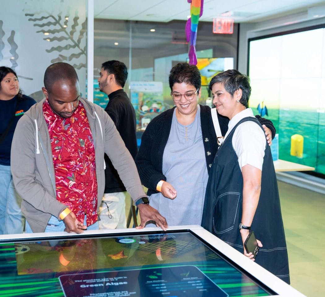 Guided Gallery 1