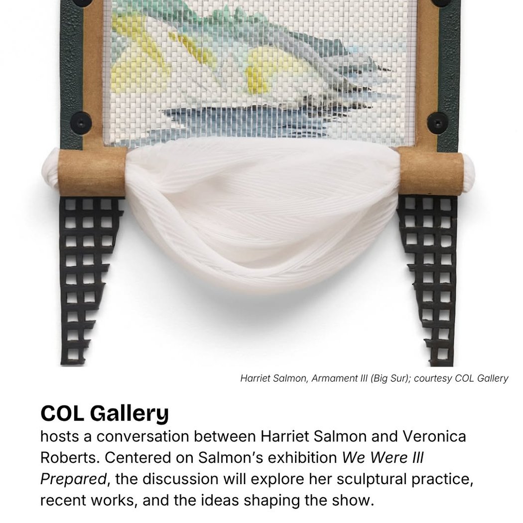 Artist conversation with Harriet Salmon and Veronica Roberts 1