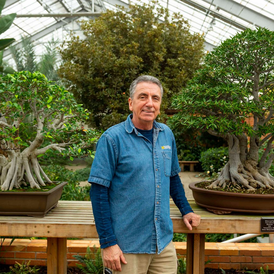 Bonsai Basics 1 3