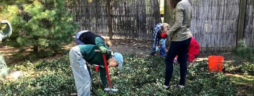 Weekend Weeders