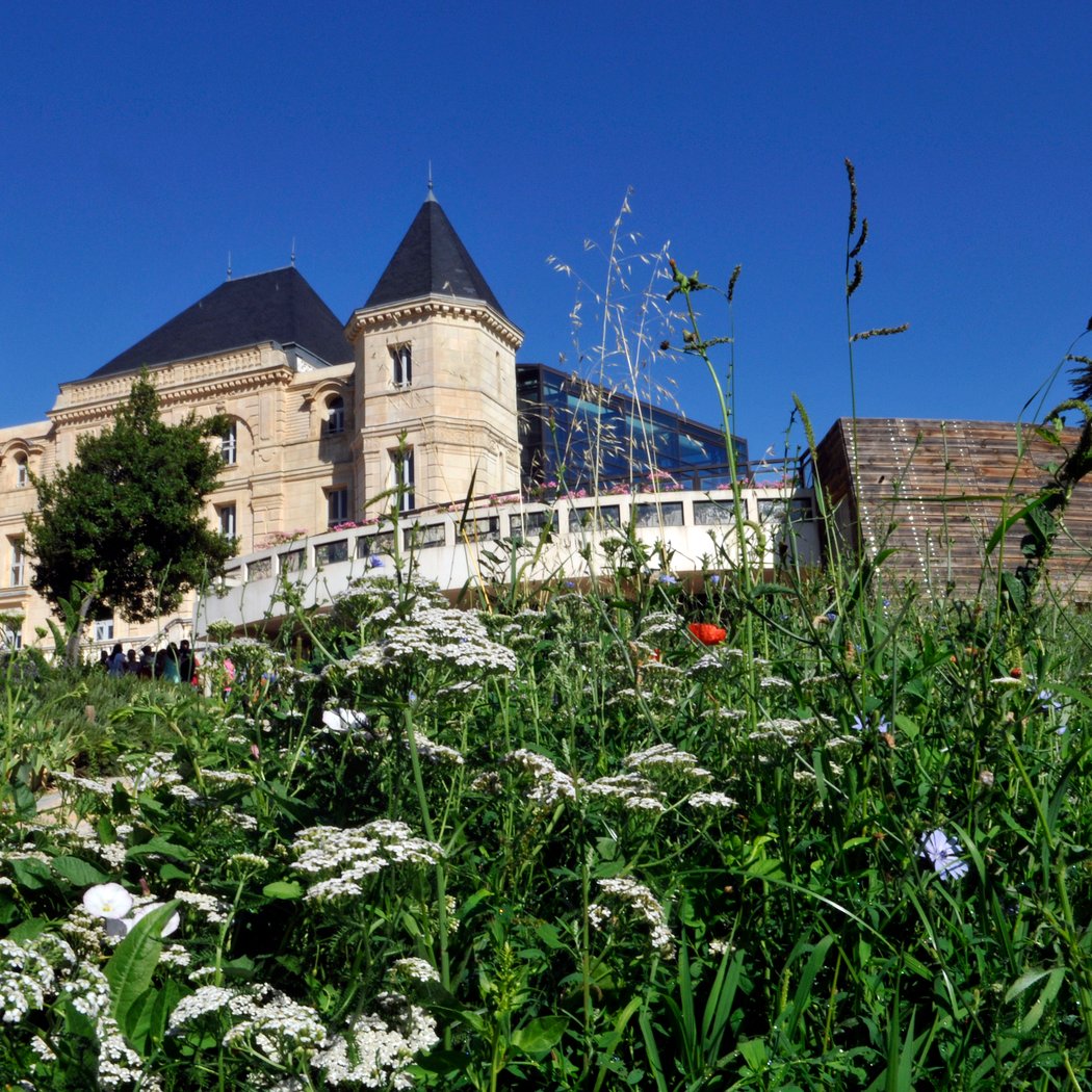 Castle Park of Buzine 1