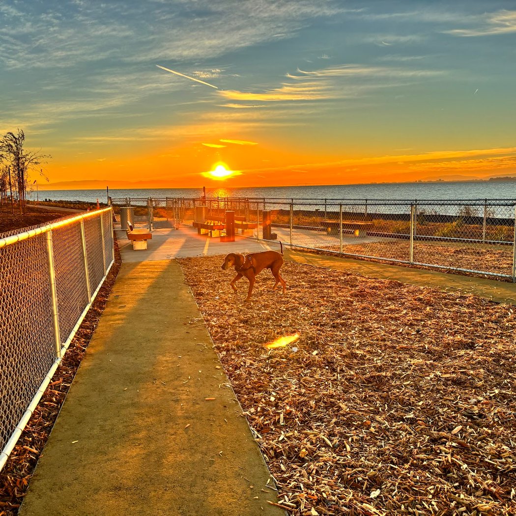 Oyster Point Dog Park 1
