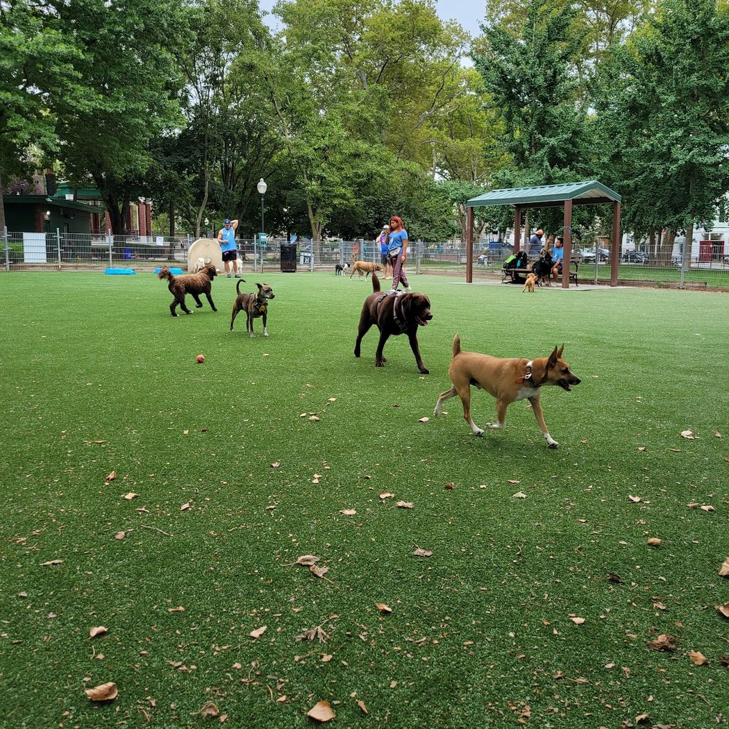 Church Square Park 2