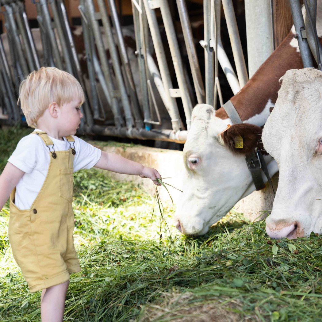 La Ferme Des Tourbières 1