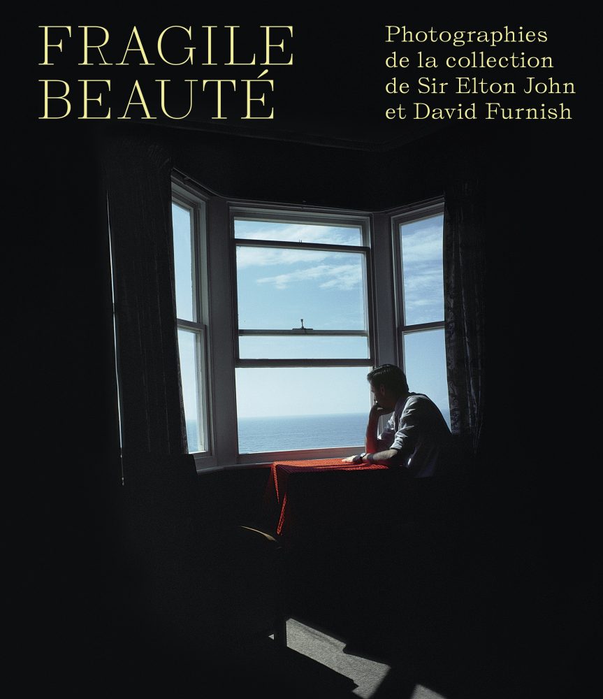 Fragile Beauté 1