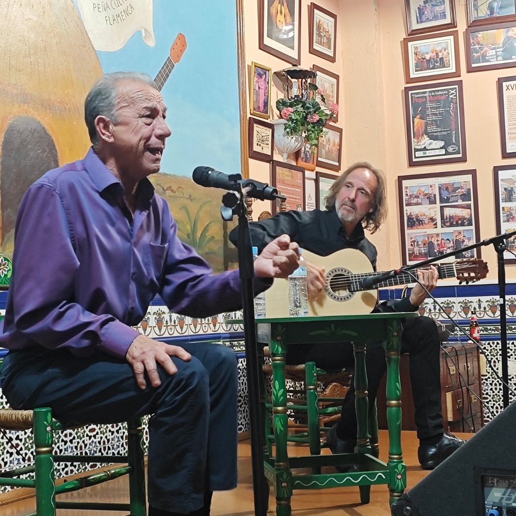 Centro Cultural Flamenco El Chozas 3