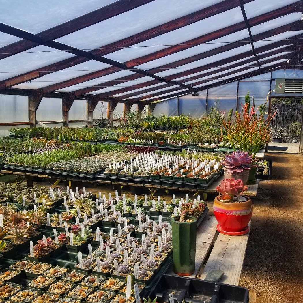 Lone Pine Gardens 1