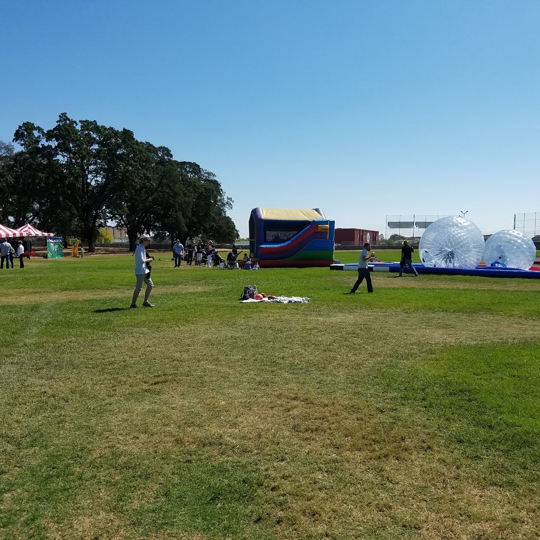 Santa Rosa Marathon and Other Sonoma County Races 2