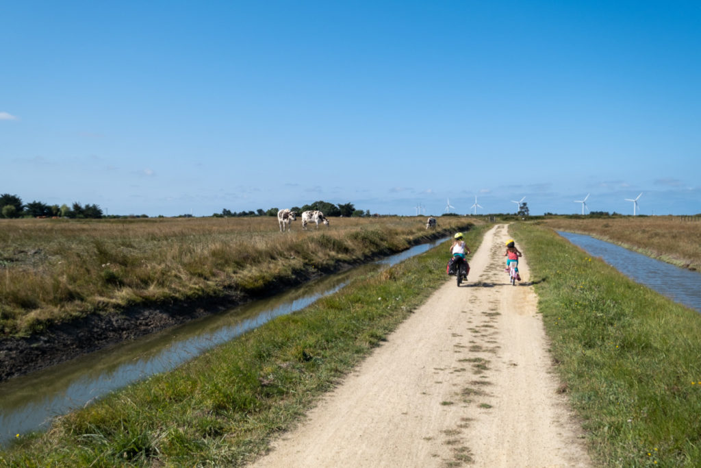 Polder de Sébastopol 1
