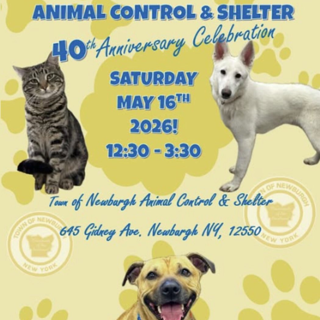 Town of Newburgh Animal Shelter 40th Anniversary Celebration 1