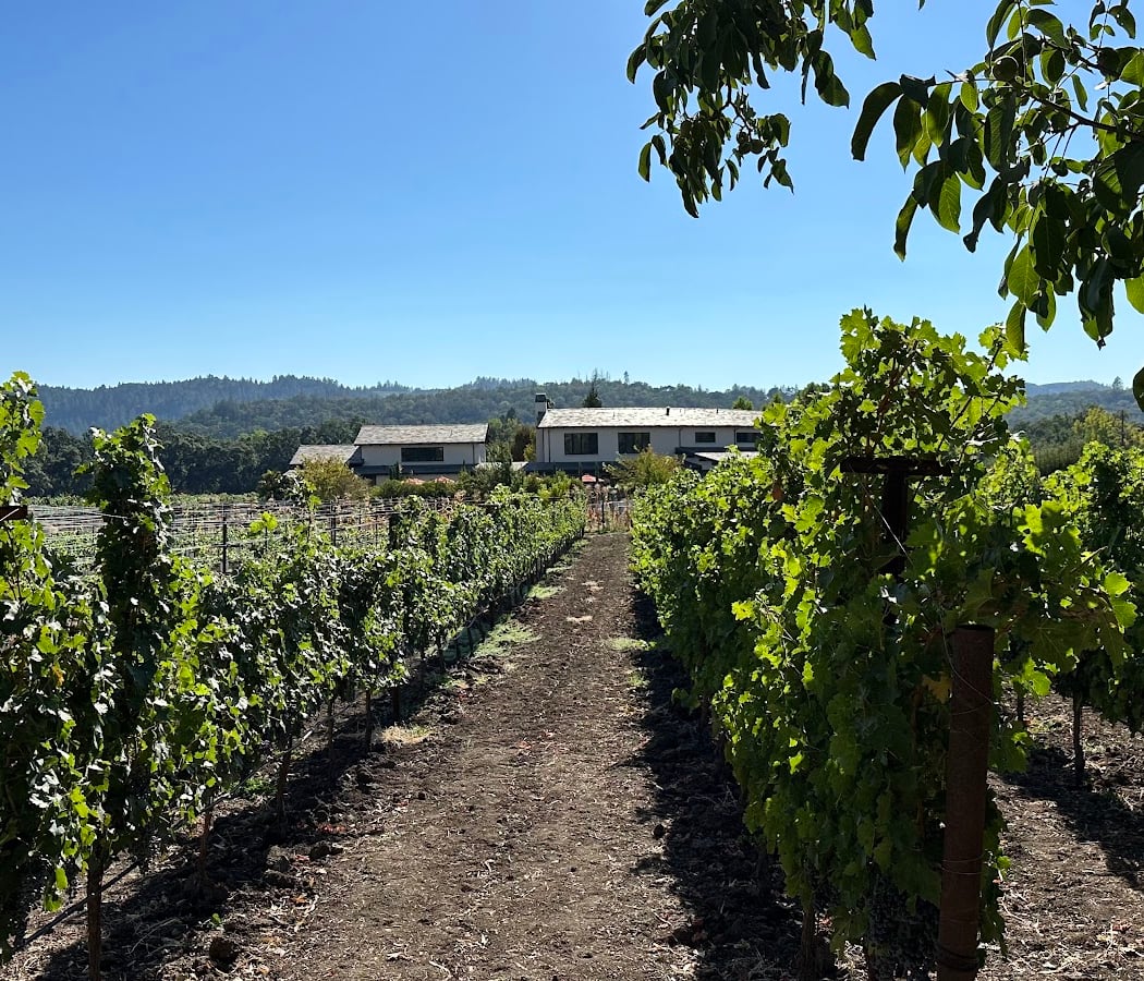 2026 Grape Stomp And Harvest Celebration 3