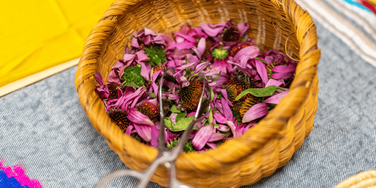 Herbal Healing Workshop 1