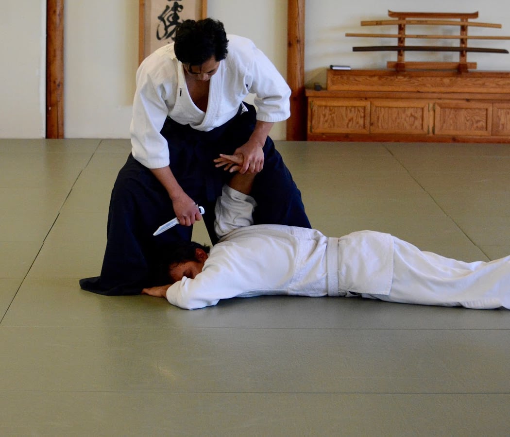 Aikido x Brazilian Jiu-Jitsu Training
