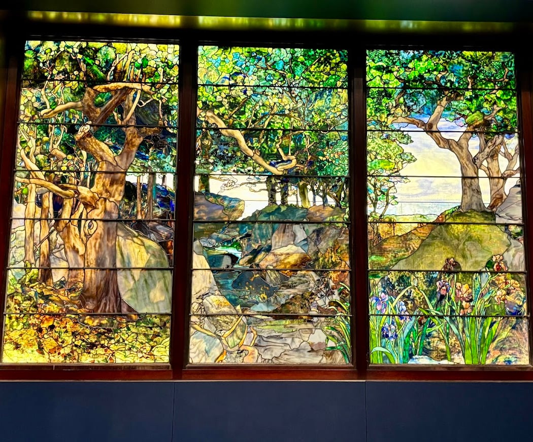 The Museum of Fine Arts, Houston 4