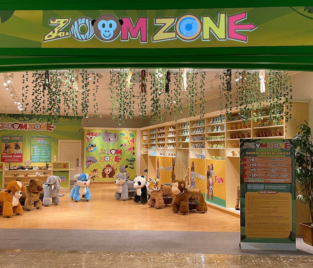 Zoom Zone Kids Animal Amusement Rides 2