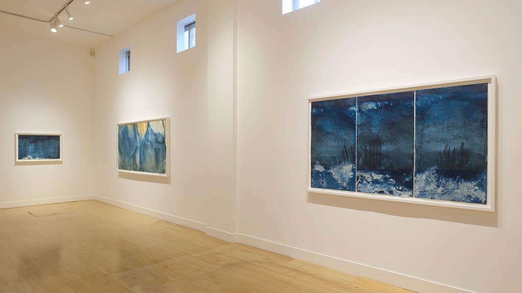 Meghann Riepenhoff: Ice 1