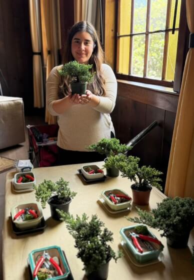 Art of Bonsai Workshop 2