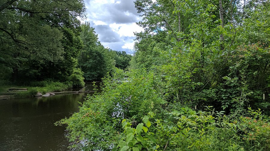 Rogue River Park 2