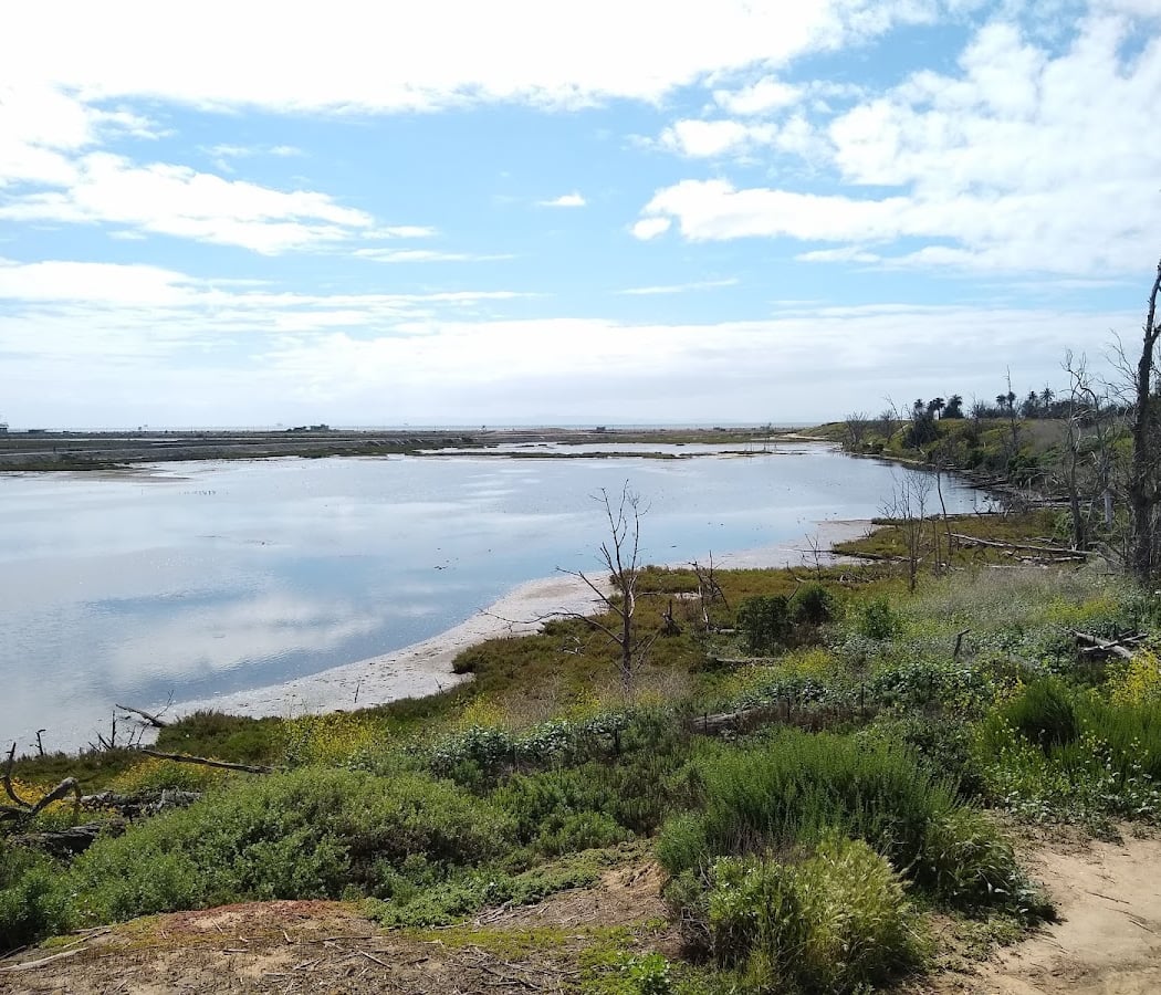 Beginner Birder Workshop 3