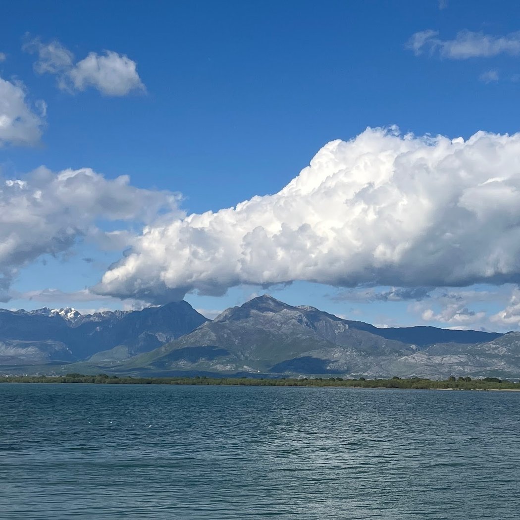 Shkodra Lake 2