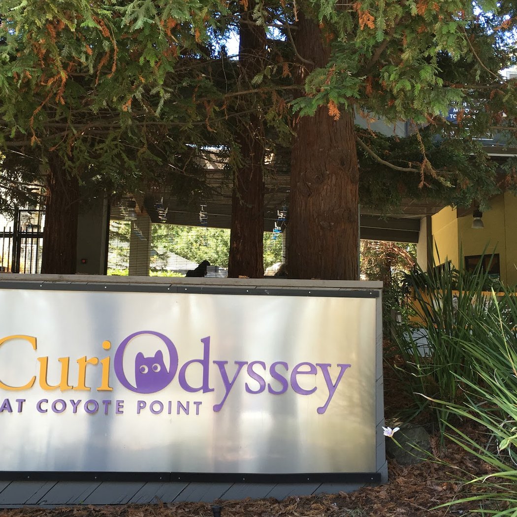 CuriOdyssey 2