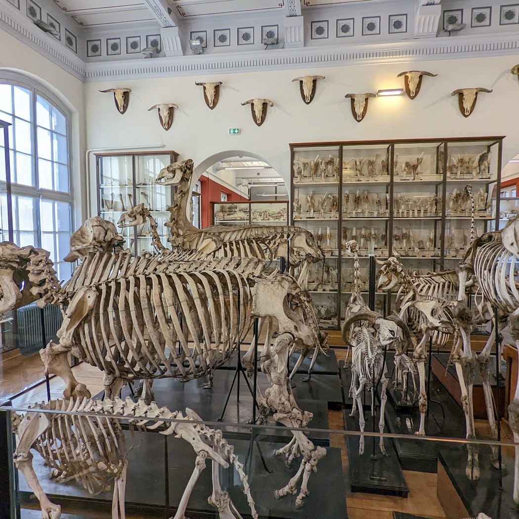 Visite guidée du Musée Fragonard 3
