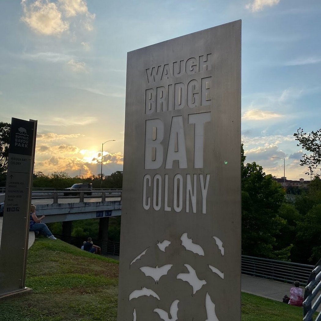 Waugh Bat Chat 3