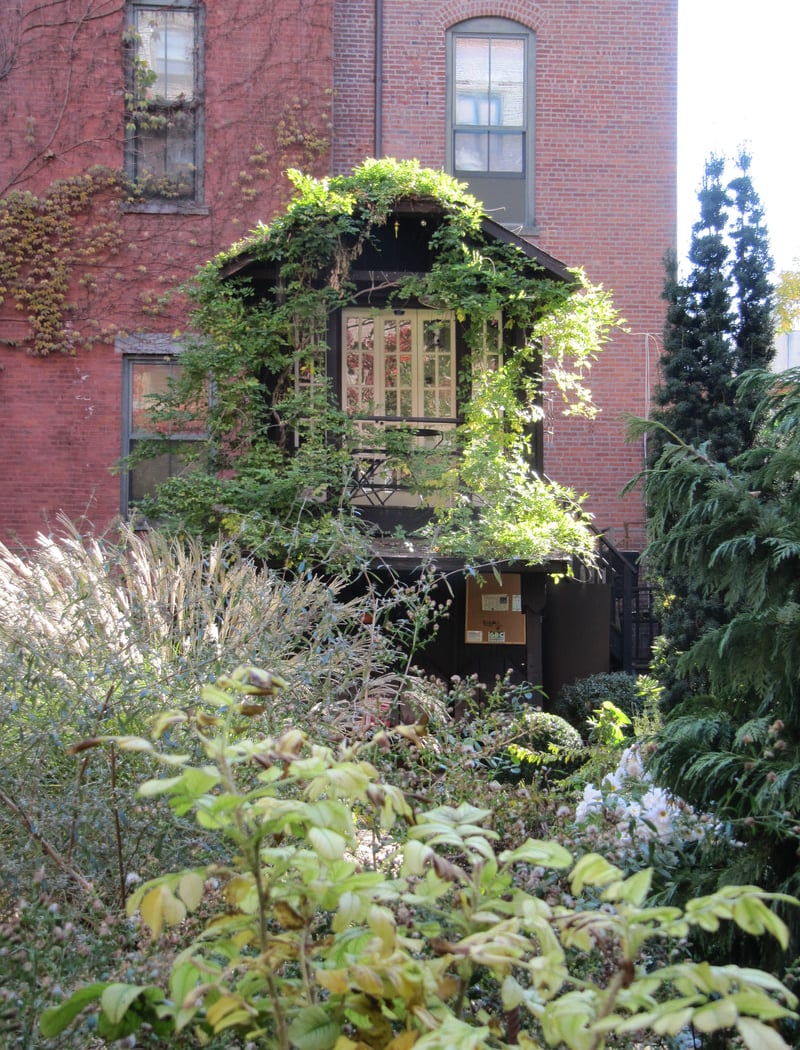 6BC Botanical Garden 3