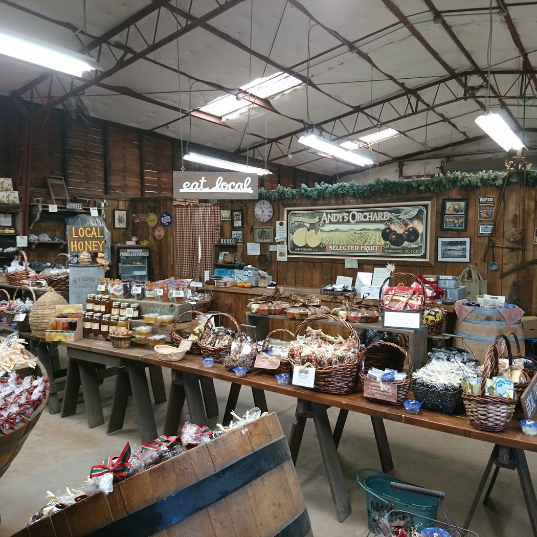 Holiday Open House 3