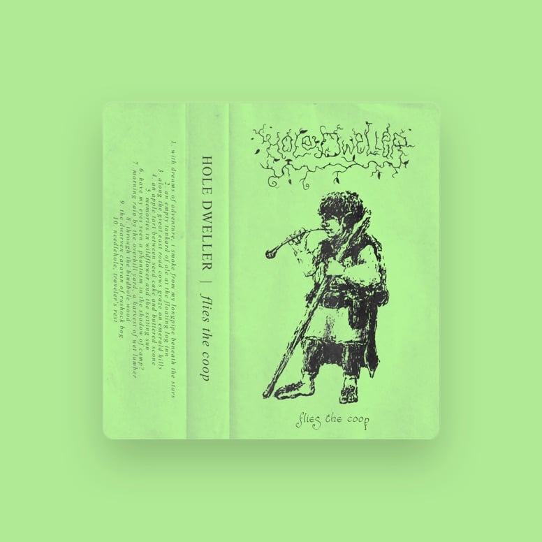 Hole Dweller concert 1