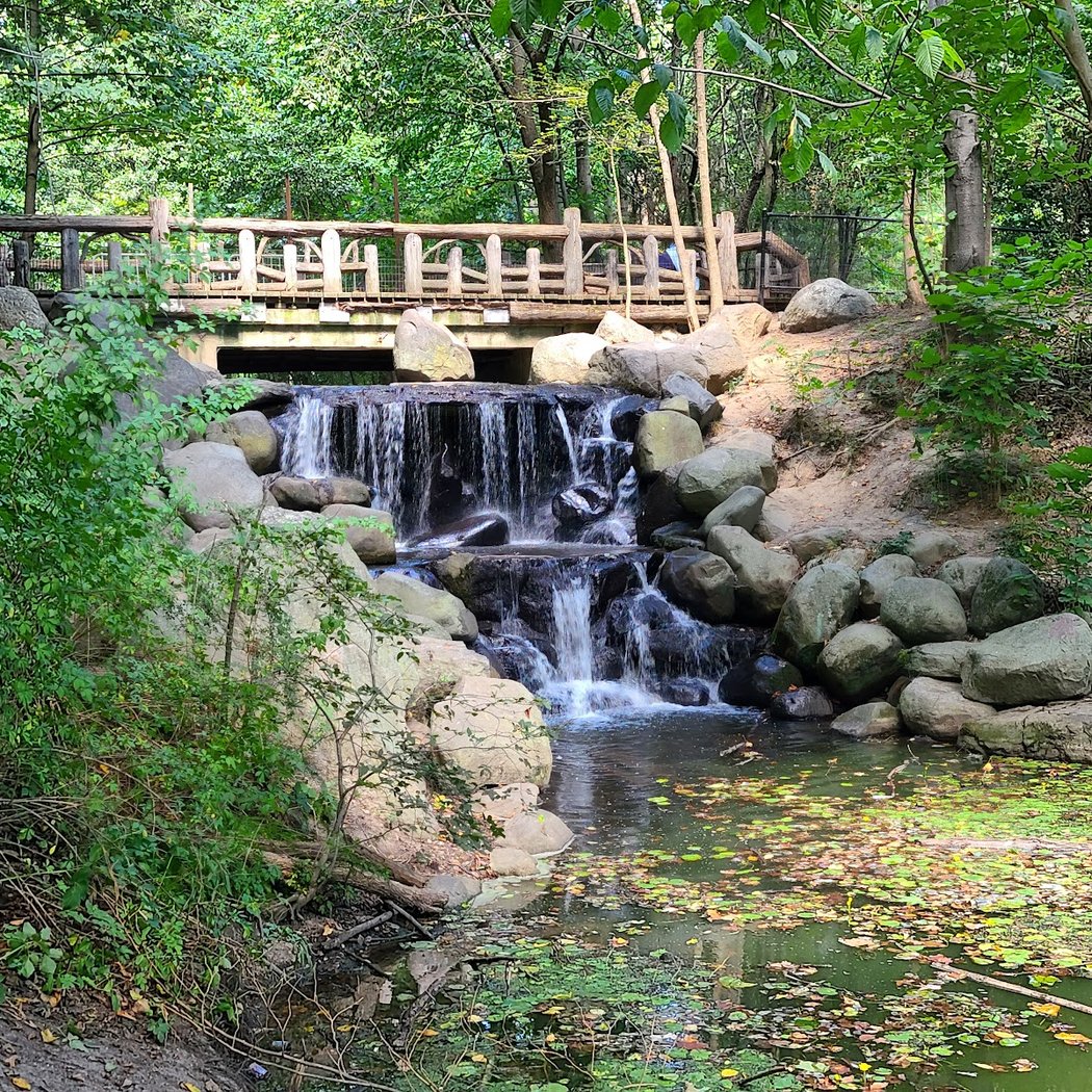 Prospect Park Waterfall 1