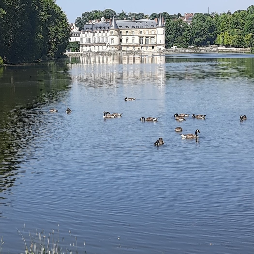 Les Barques du Château 3