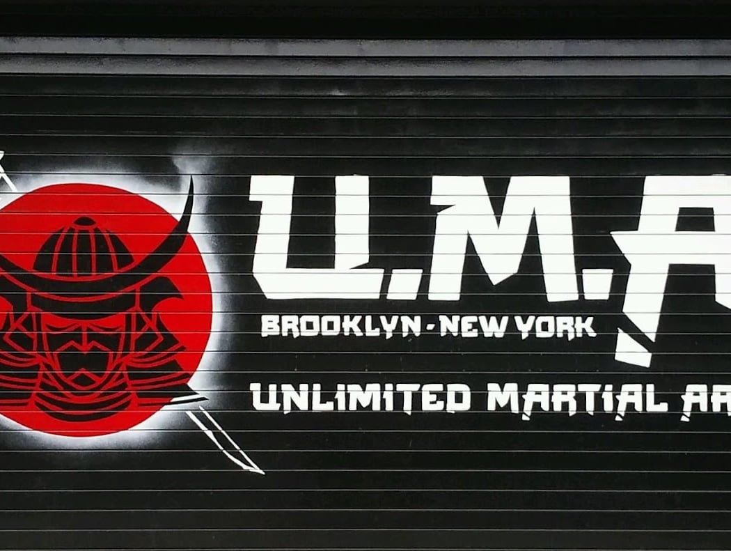 Unlimited Martial Arts NYC 2