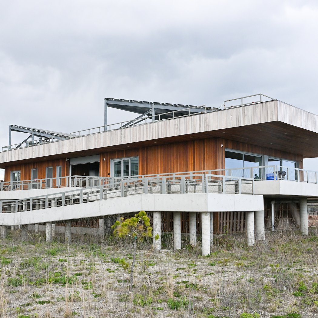 Arverne East Nature Preserve 3