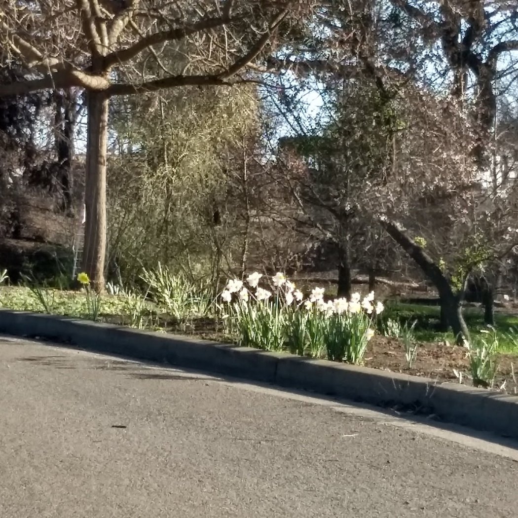 Fountaingrove 2