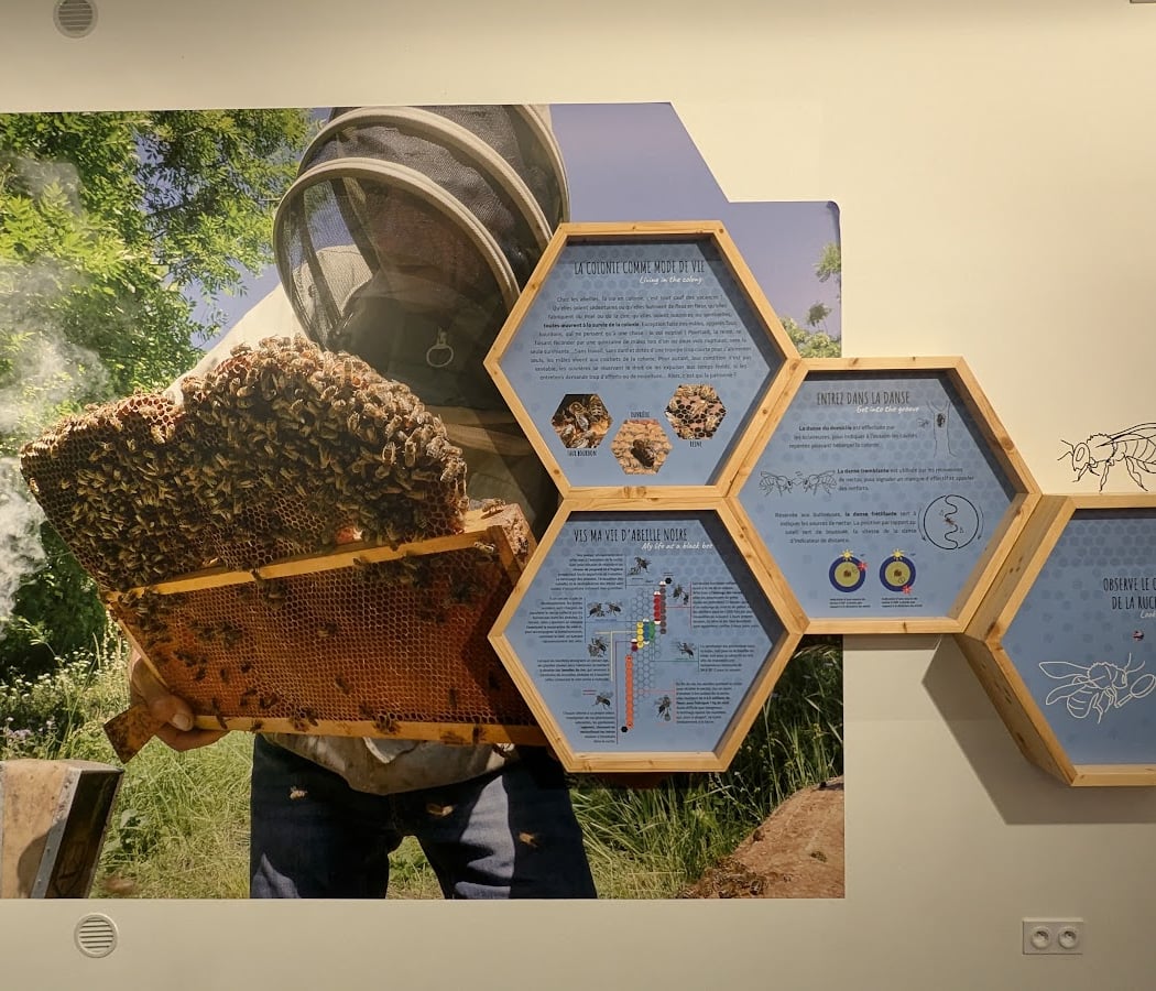 Maison de l’abeille noire et de la nature 1