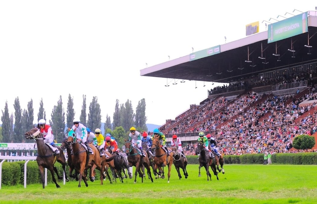105th President Stakes 2