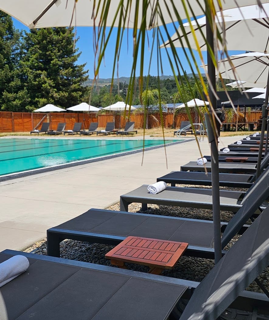 R E V I V E - Sonoma’s Day Club 2
