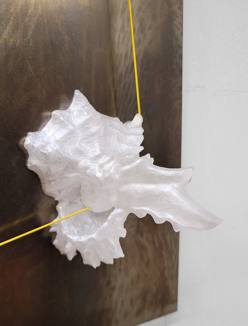 Falling Seas, Ausstellung 3