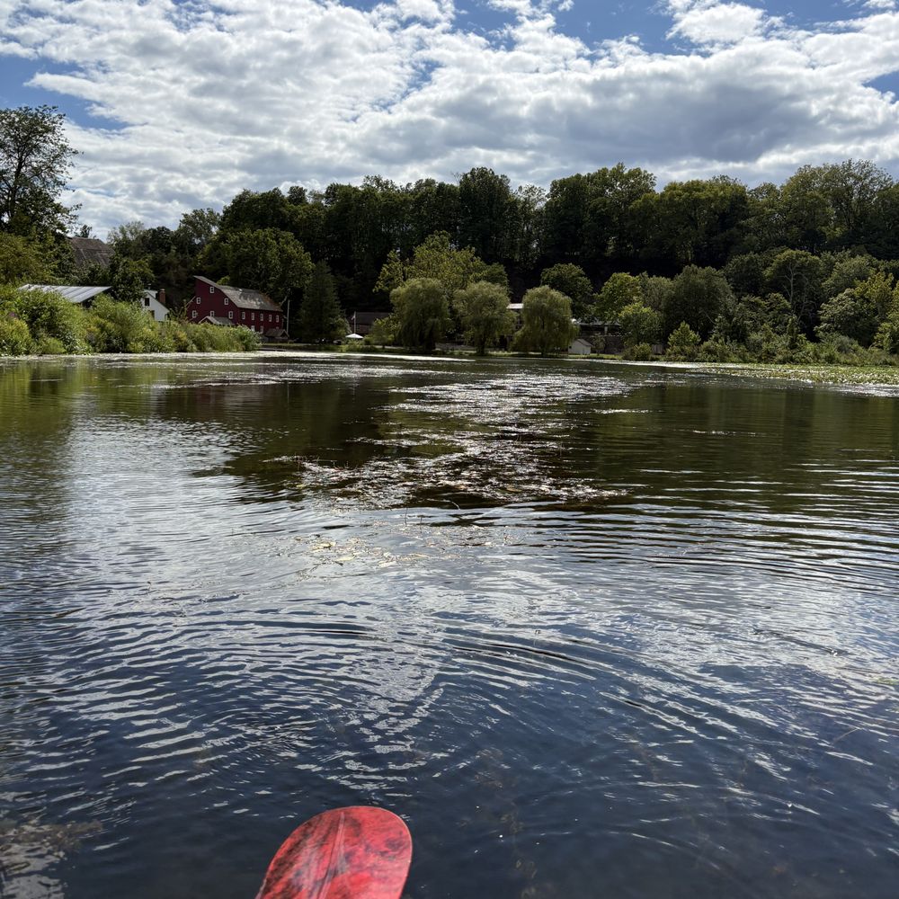 Pond Paddle 3