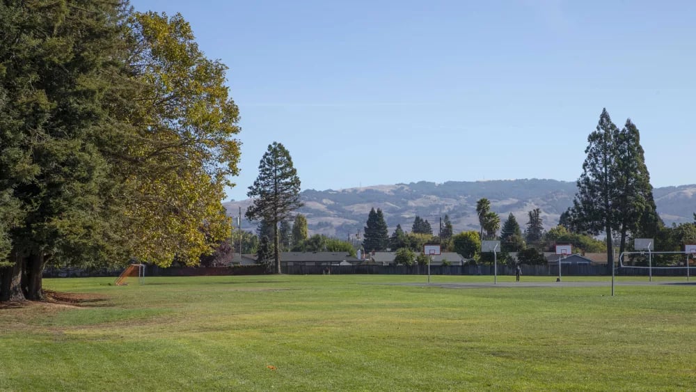 Benicia Park 2