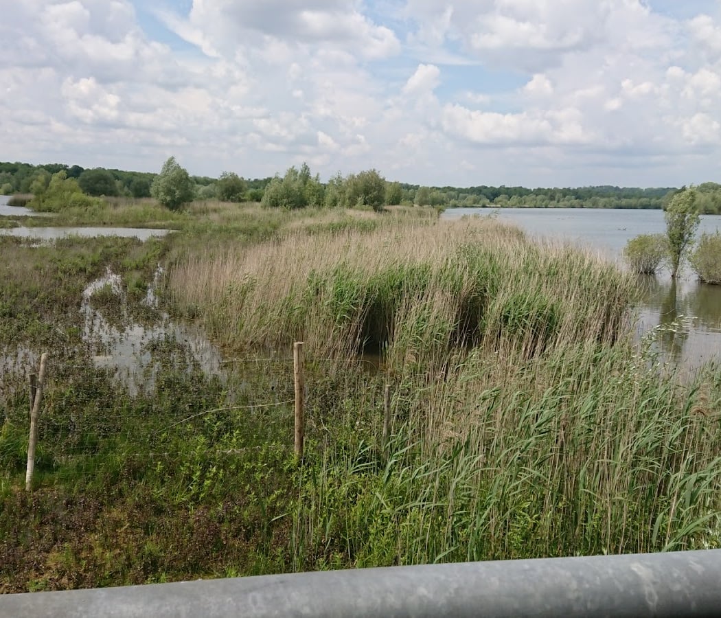 Réserve naturelle régionale du Grand-Voyeux (Pêche strictement INTERDITE) 2