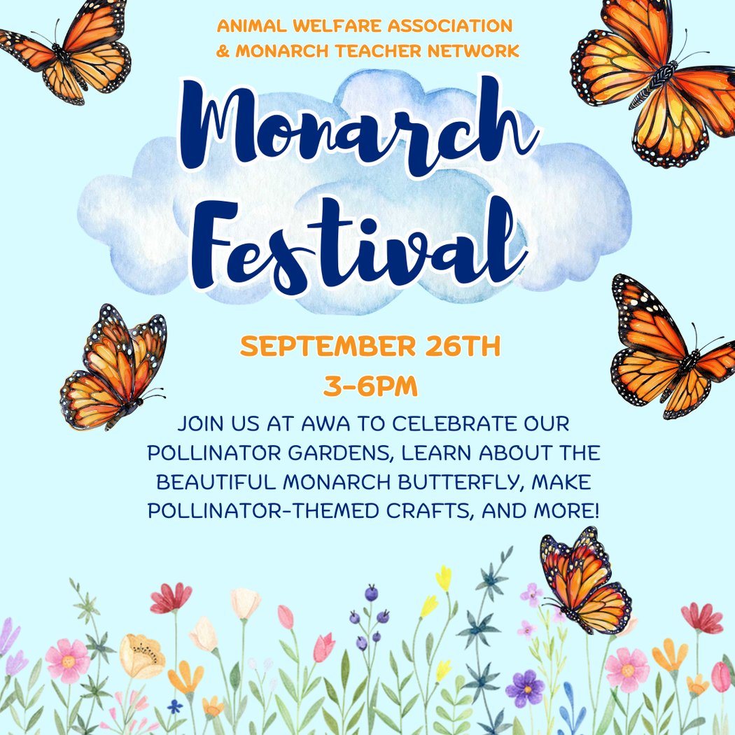 Monarch Festival 1